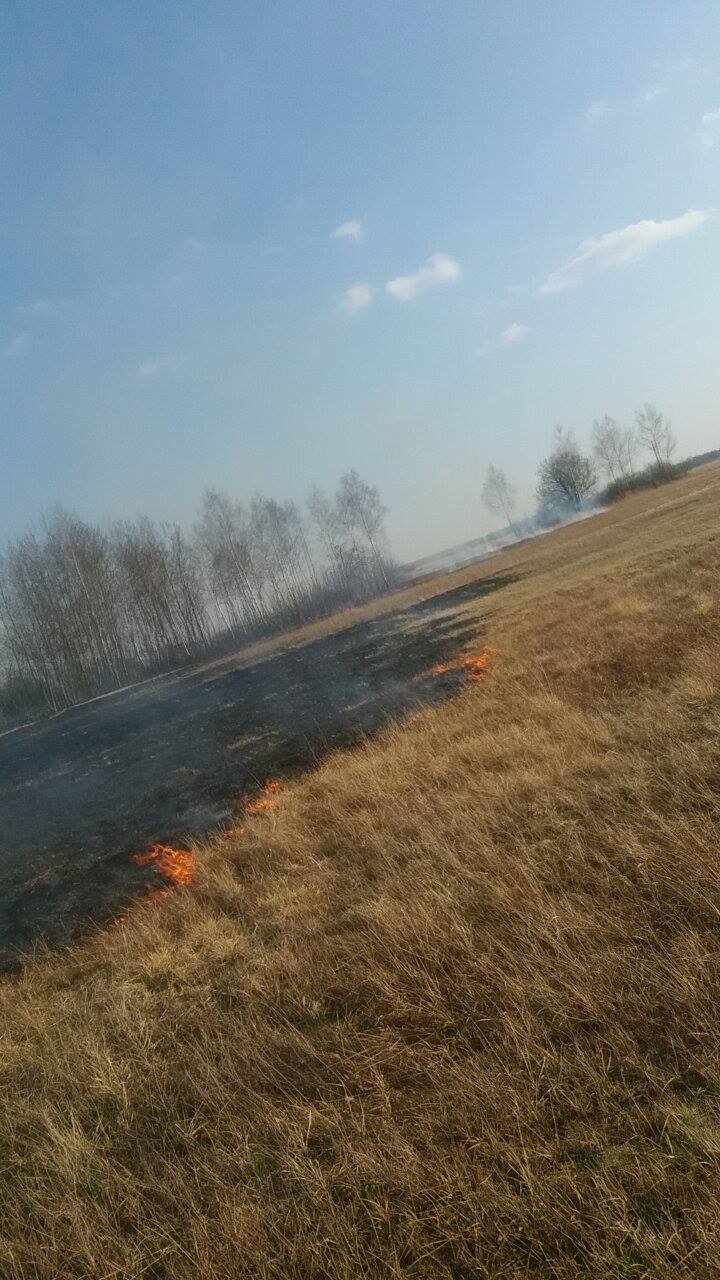 pożar traw za mostem w Chrbrzu