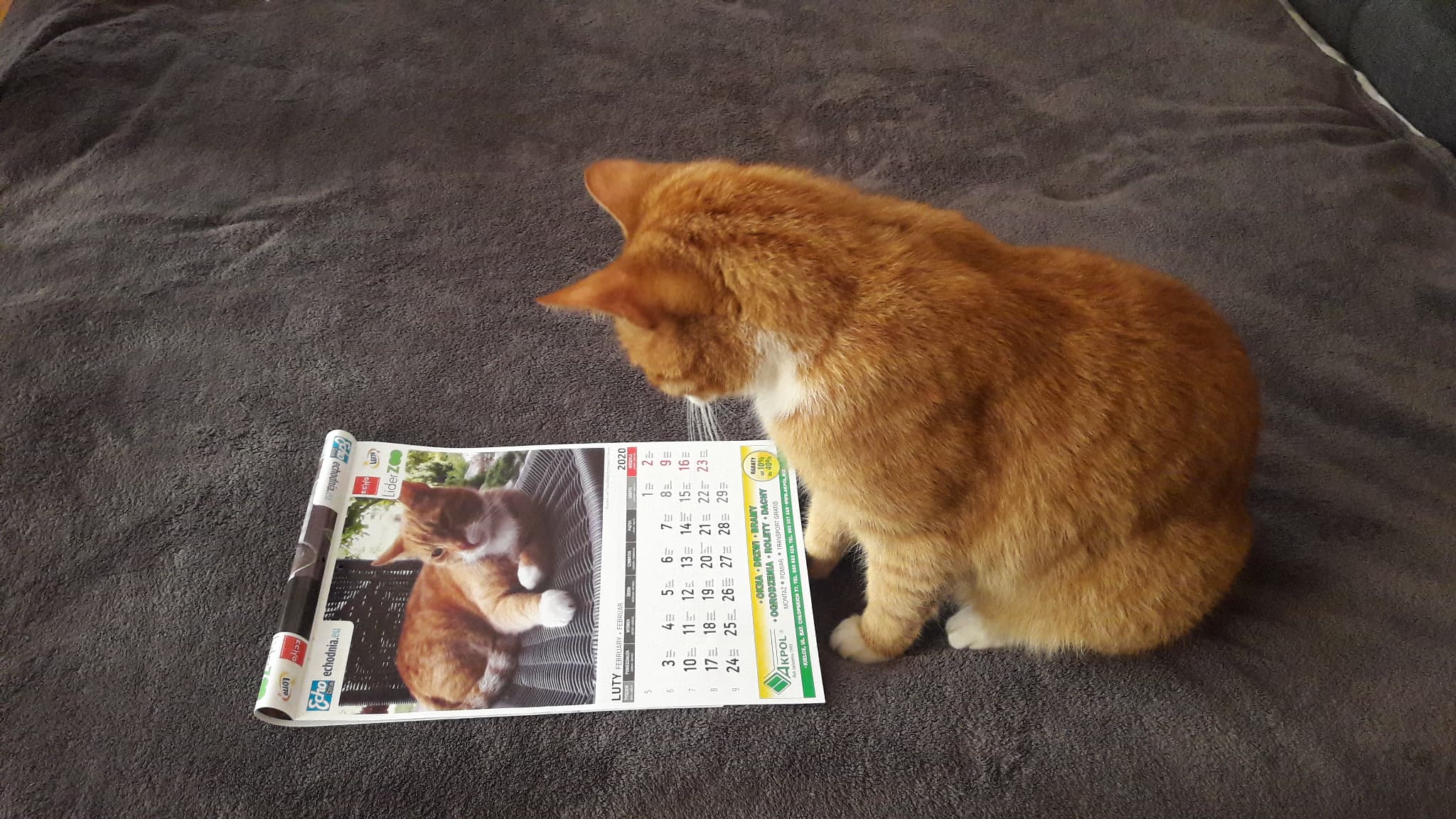 Rysiek z Chrobrza, podziwia kalendarz który zdobi jego zdjęcie