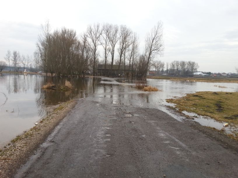 zalana droga w Nieprowicach
