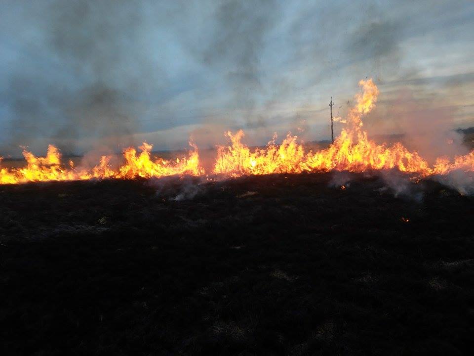 pożar łąk nad Nidą w Chrobrzu