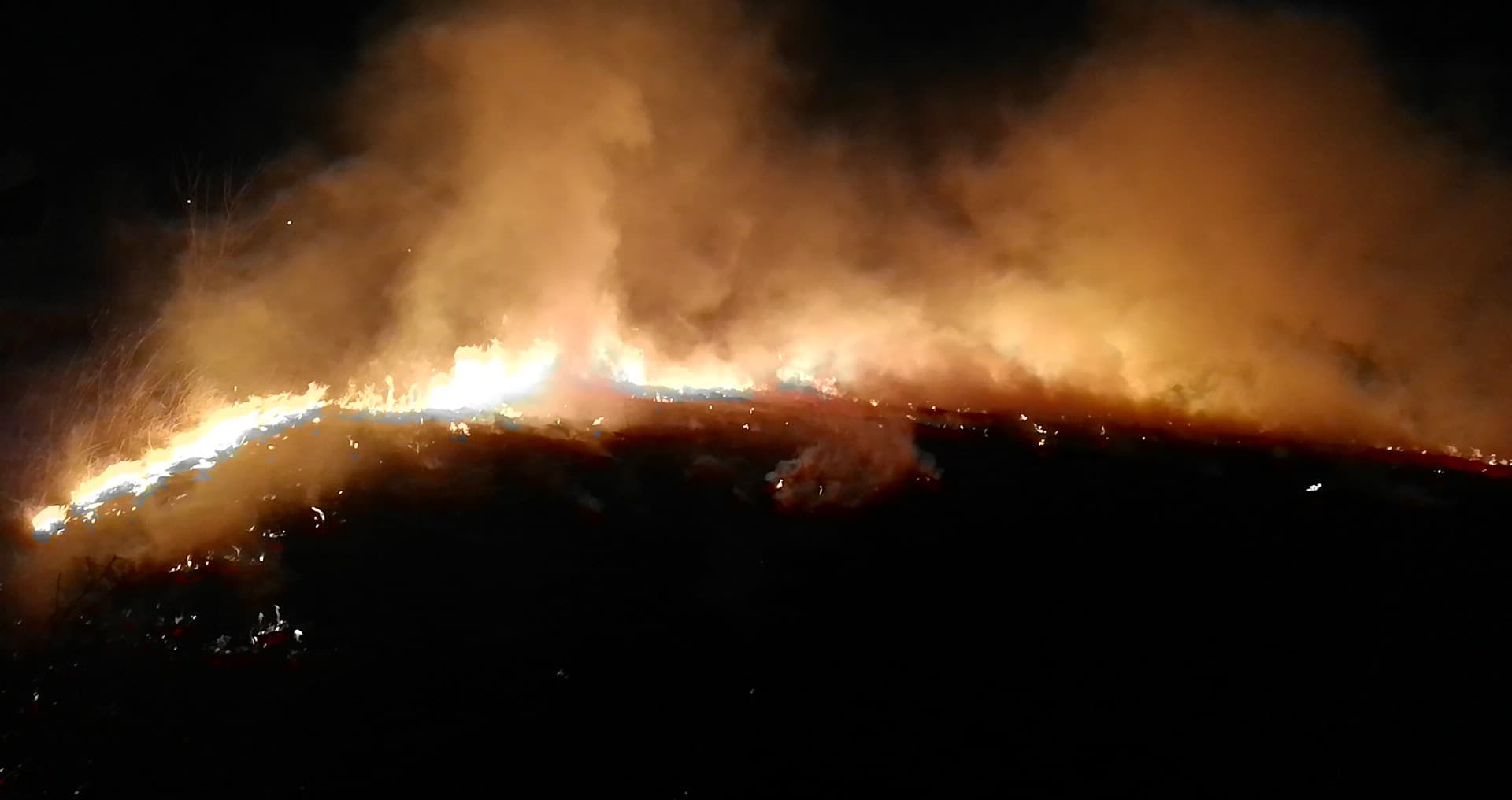 pożary traw Nieprowice, Kozubów